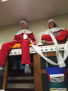 Our Elves on the Shelves 